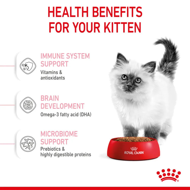 غذای خشک بچه گربه رویال کنین مدل Kitten طعم مرغ