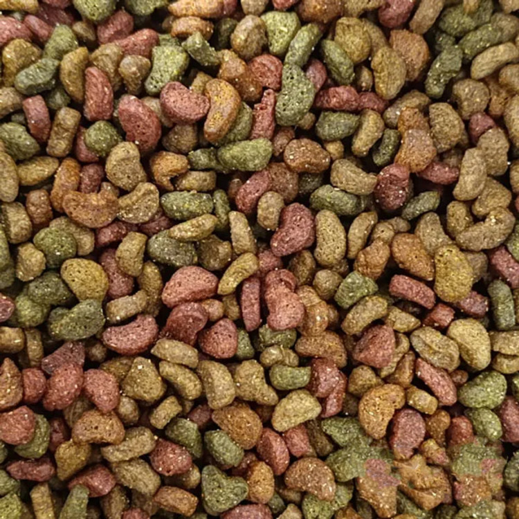 غذای خشک گربه بالغ مولتی کالر پولر Puller Adult Cat Multicolor وزن 10 کیلوگرم
